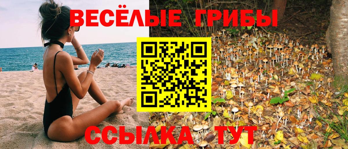Псилоцибиновые грибы мицелий  Вход с VPN  Псилоцибиновые грибы мухоморы  как найти   Ипатово 