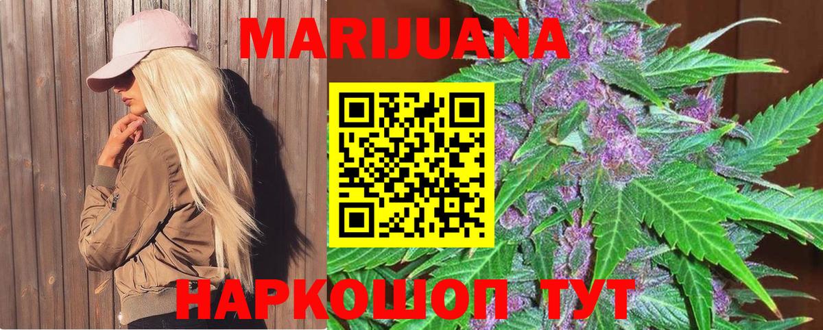 Конопля гибрид Ипатово